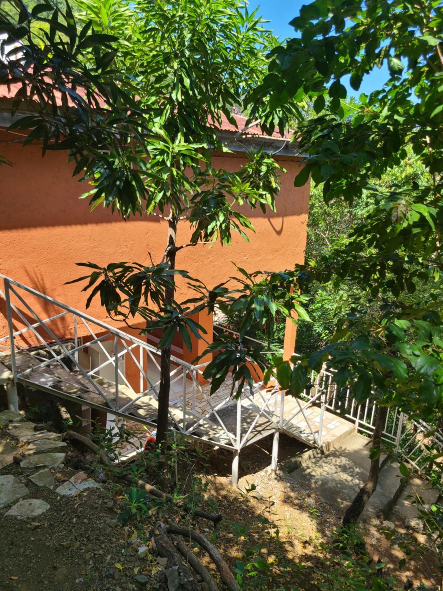 Habitation Des Lauriers Hotel Cap-Haitien Exterior photo